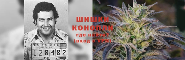 дурь Алзамай