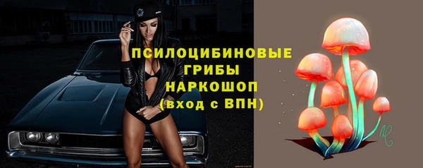 прущий лед Алексин