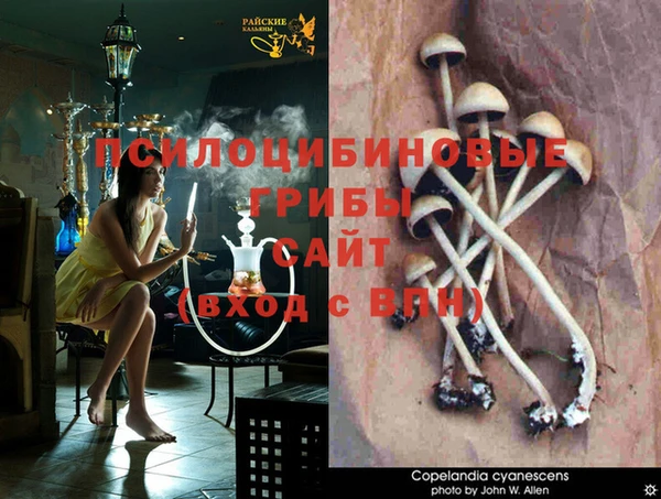 дурь Алзамай